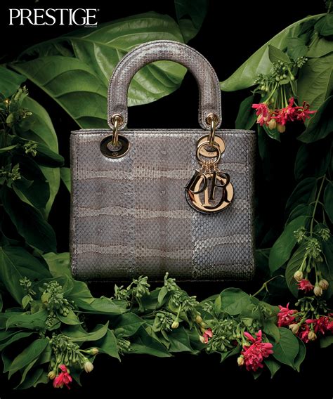 best lady dior bag